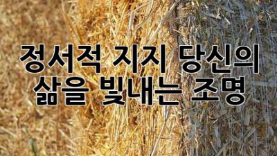 정서적 지지, 당신의 삶을 빛내는 조명