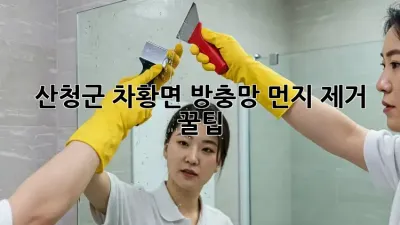 산청군 차황면 방충망 먼지 제거 꿀팁 🏡✨