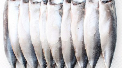 🐟싱싱 고등어 도매 득템 후기! 놓치면 후회할걸?😉